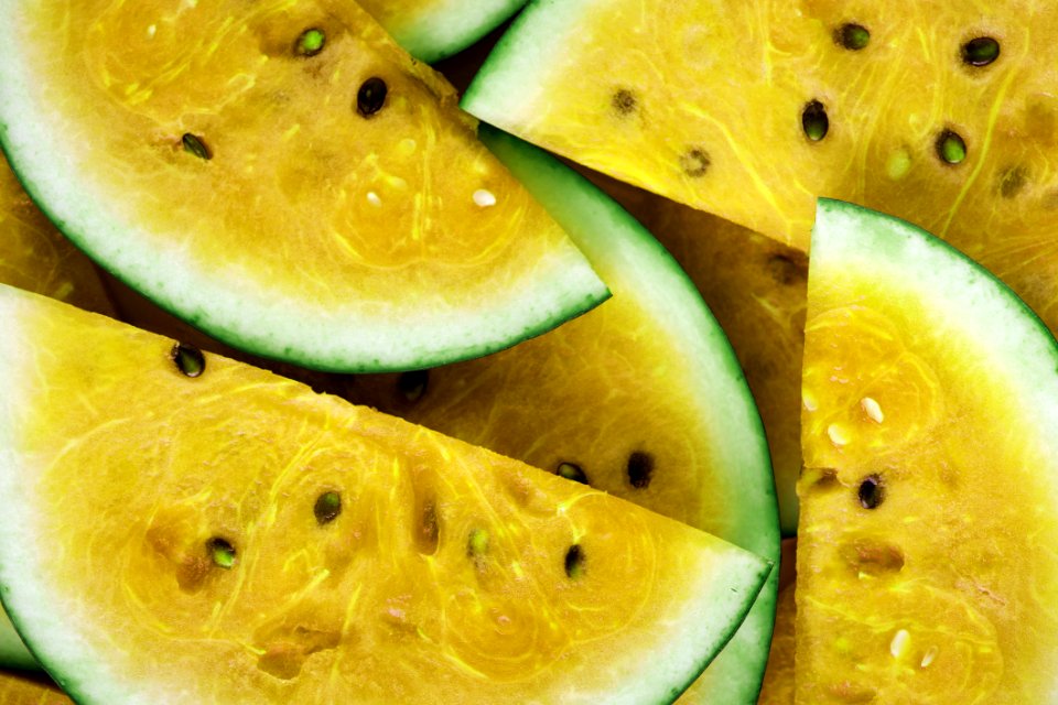 Sliced Watermelon Lot