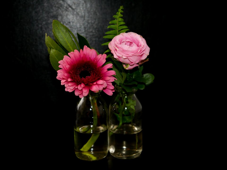 Flower, Vase, Flowering Plant, Cut Flowers photo