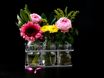 Flower, Flowering Plant, Floristry, Flower Arranging photo