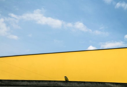 Sky, Yellow, Cloud, Horizon