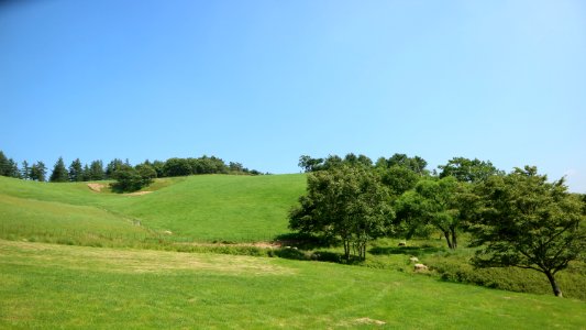 Grassland, Sky, Pasture, Ecosystem photo