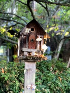 Bird Feeder, Tree, House, Wood