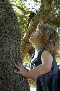 Tree, Woody Plant, Girl, Plant