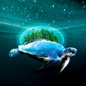 Sea Turtle, Loggerhead, Water, Turtle