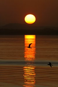 Reflection, Sunrise, Sun, Calm