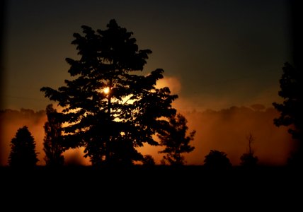 Sky, Nature, Tree, Atmosphere photo