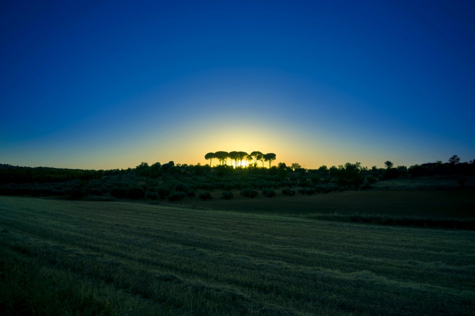 Sky, Field, Horizon, Dawn