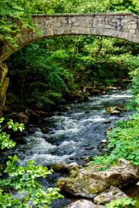 Nature, Stream, Water, Watercourse
