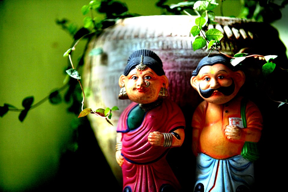Face, Fun, Smile, Plant