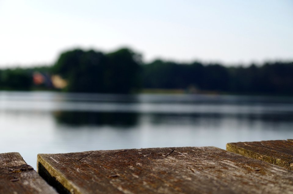 Water, River, Lake, Shore