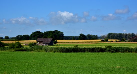 Grassland, Field, Pasture, Sky