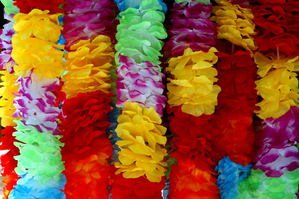 Petal, Lei, Cut Flowers, Flower