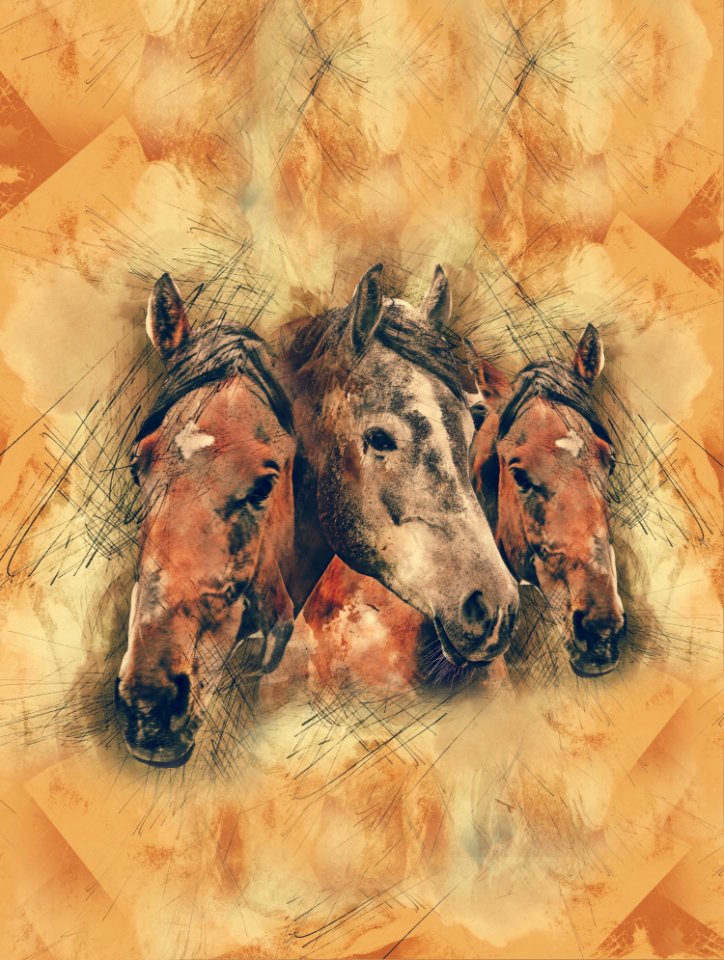 Horse, Horse Like Mammal, Watercolor Paint, Mane