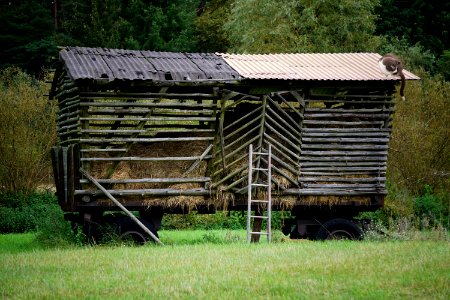 Shack, Rural Area, Grass, Log Cabin
