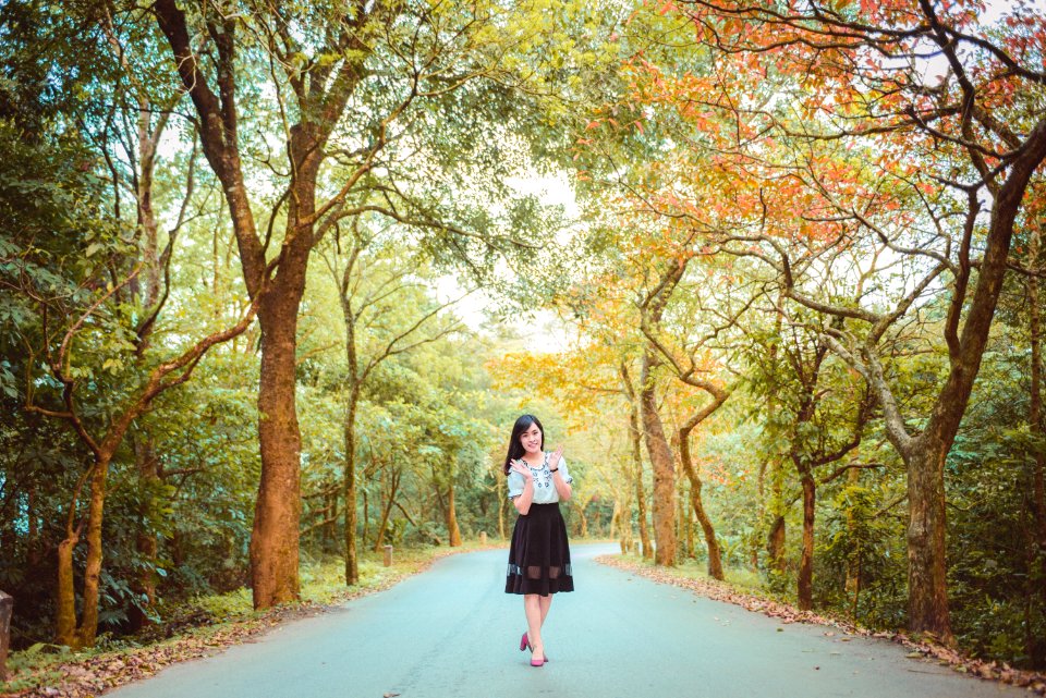 Photograph, Nature, Tree, Path
