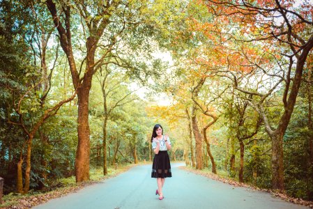 Photograph, Nature, Tree, Path