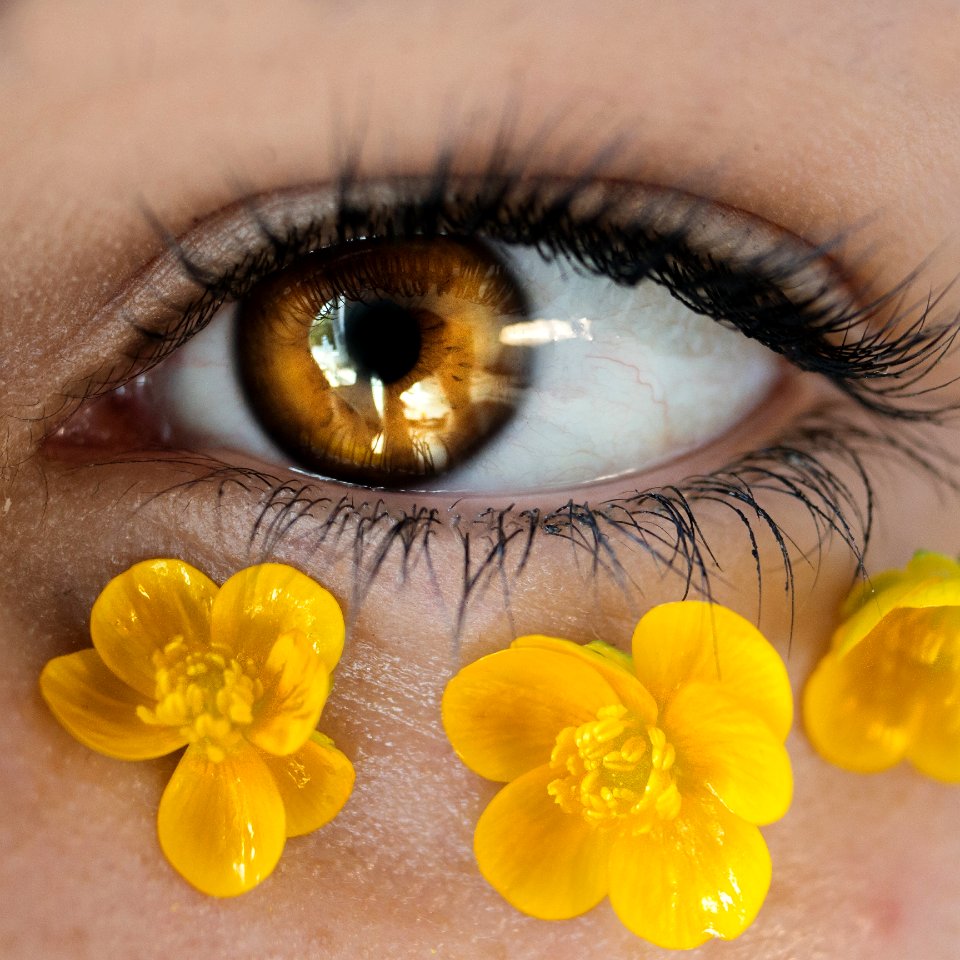 Yellow, Eye, Eyelash, Close Up