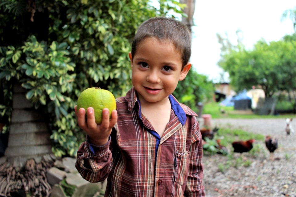 Child, Vertebrate, Tree, Boy
