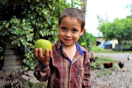 Child, Vertebrate, Tree, Boy