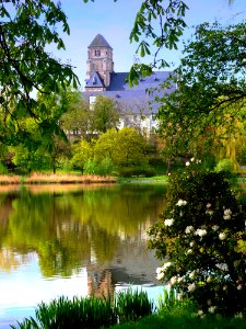 Reflection, Water, Nature, Green