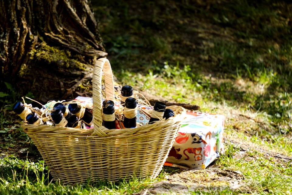 Picnic, Grass, Plant, Tree