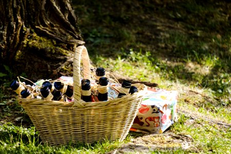 Picnic, Grass, Plant, Tree
