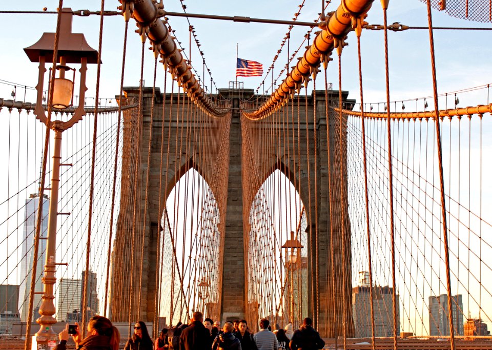 Bridge, Suspension Bridge, Cable Stayed Bridge, Building