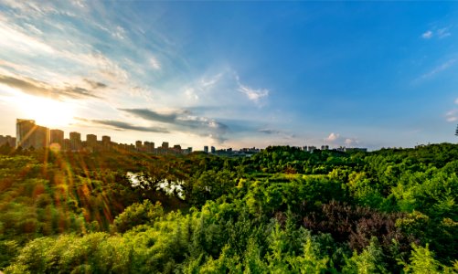 Sky, Nature, Vegetation, Cloud