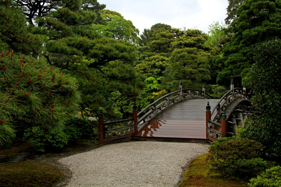 Nature, Vegetation, Tree, Leaf