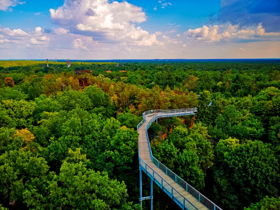 Nature, Sky, Leaf, Vegetation