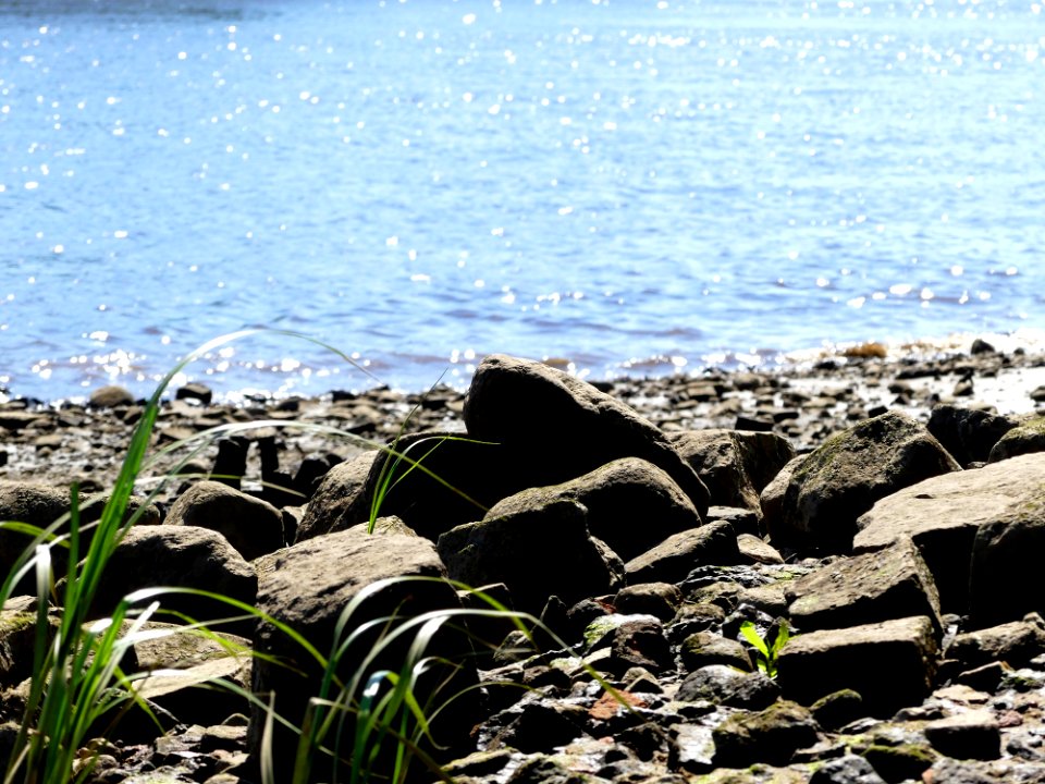 Shore, Rock, Water, Sea