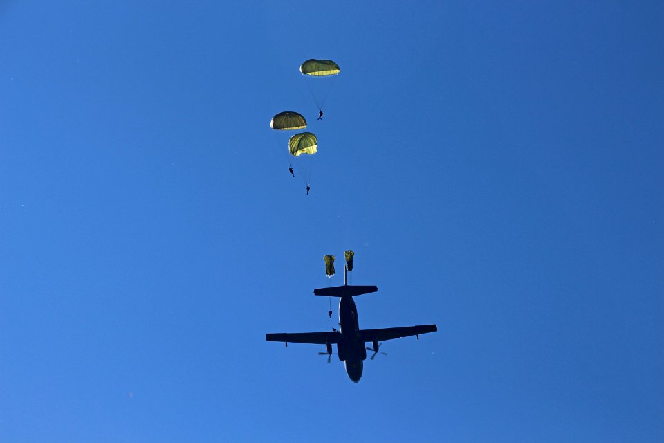 Air Sports, Sky, Parachute, Parachuting