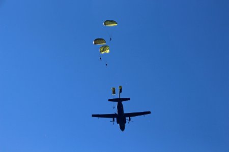 Air Sports, Sky, Parachute, Parachuting