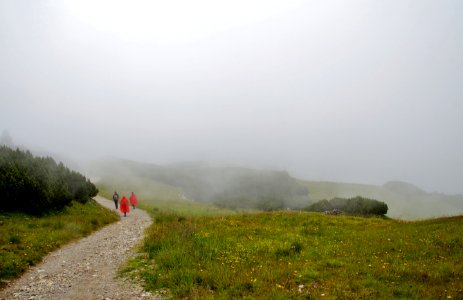 Fog, Mist, Hill Station, Vegetation photo