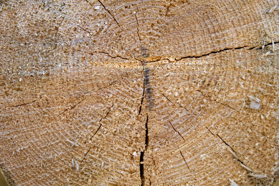 Wood, Geology, Soil, Fault