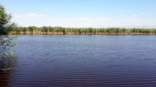 Waterway, Water Resources, Lake, Water photo