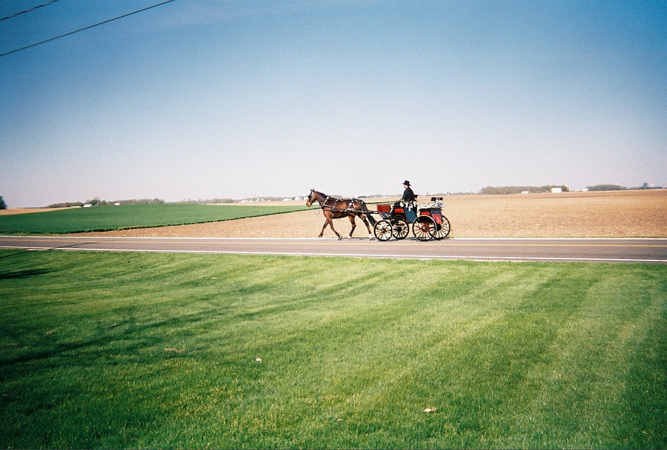 Transportation transport cart