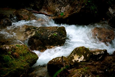 Water, Stream, Nature, Body Of Water