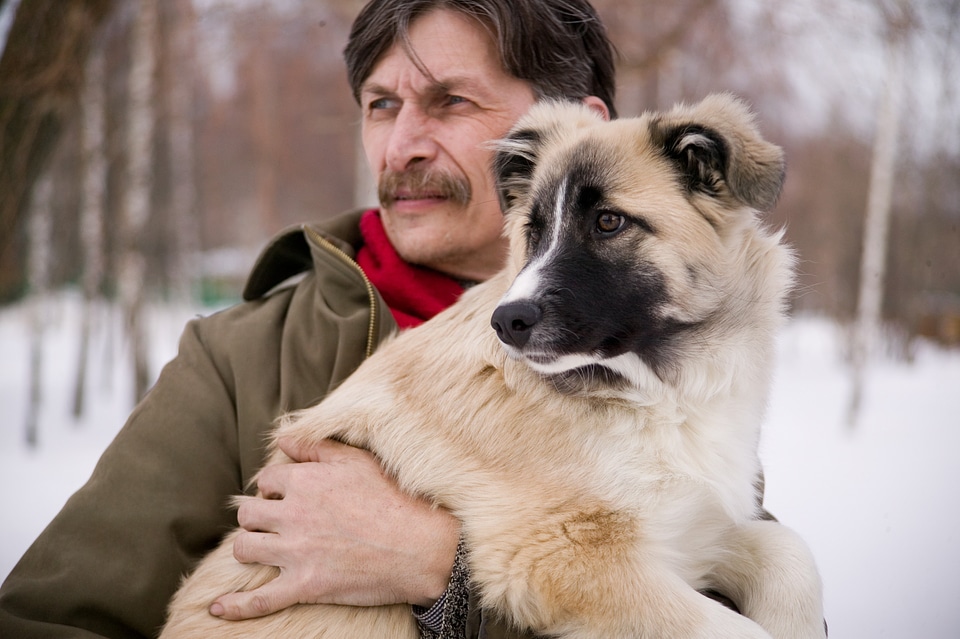 Man with dog animals people