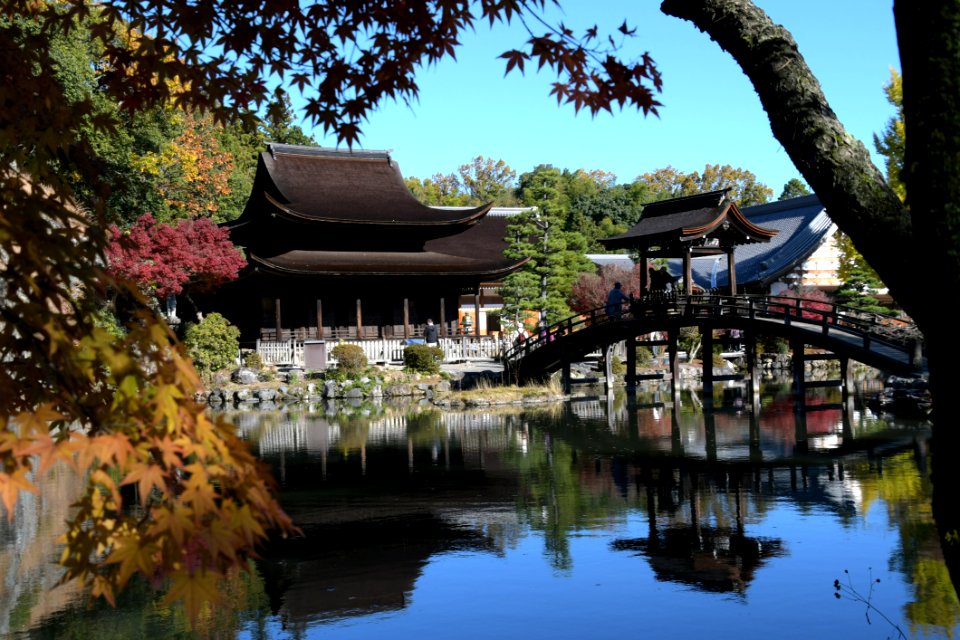 Chinese Architecture, Reflection, Plant, Waterway