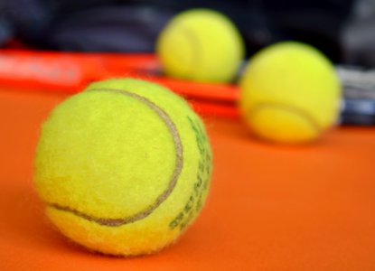 Yellow, Ball, Tennis Ball, Close Up