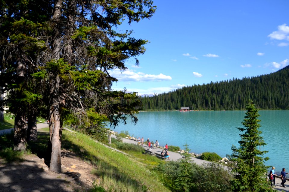 Lake, Nature, Body Of Water, Wilderness