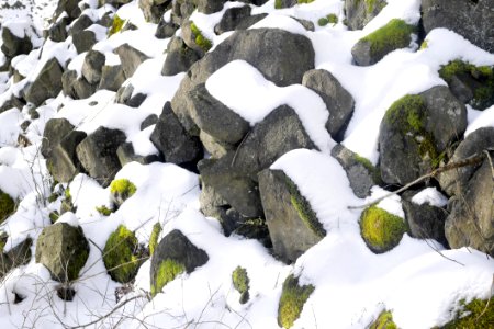 Rock, Snow, Winter, Leaf