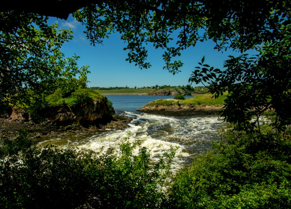 Nature, Nature Reserve, Water, Vegetation