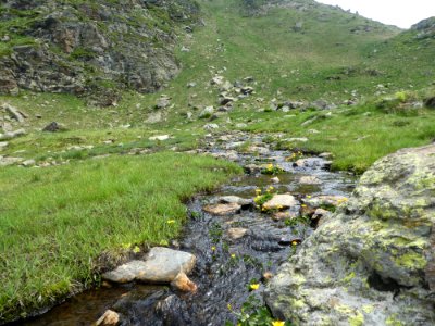 Vegetation, Nature Reserve, Wilderness, Stream