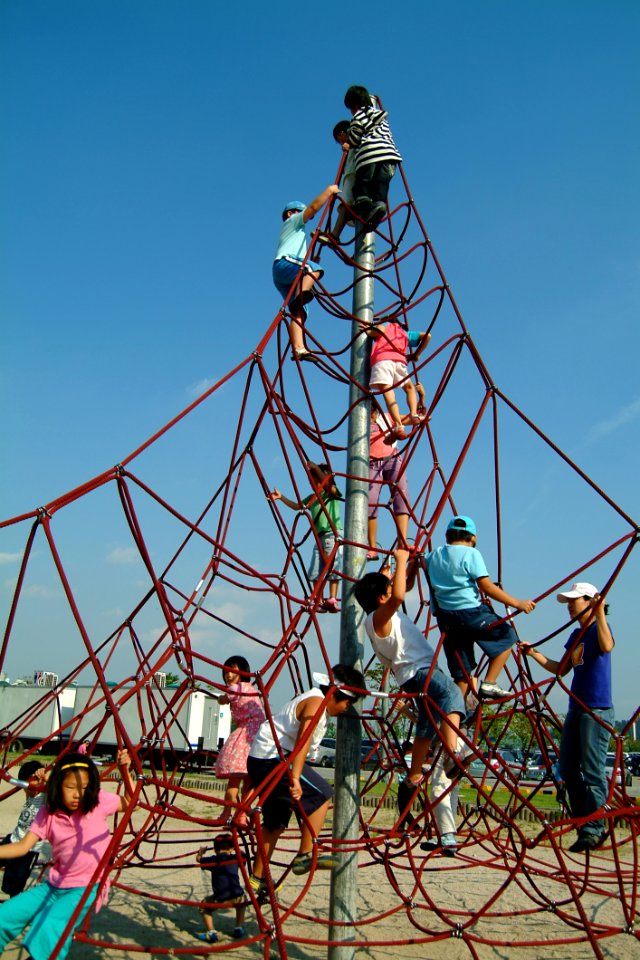 Tourist Attraction, Amusement Park, Tree, Sky