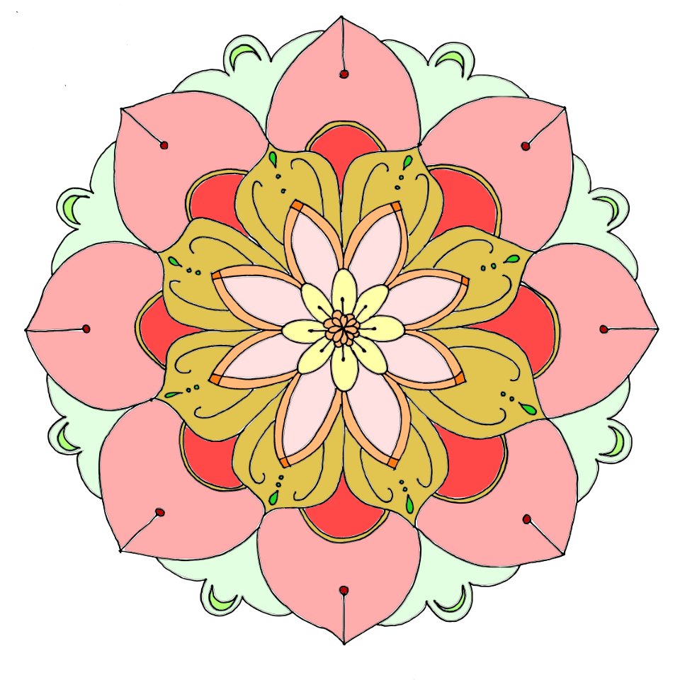Flower, Flowering Plant, Pink, Flora