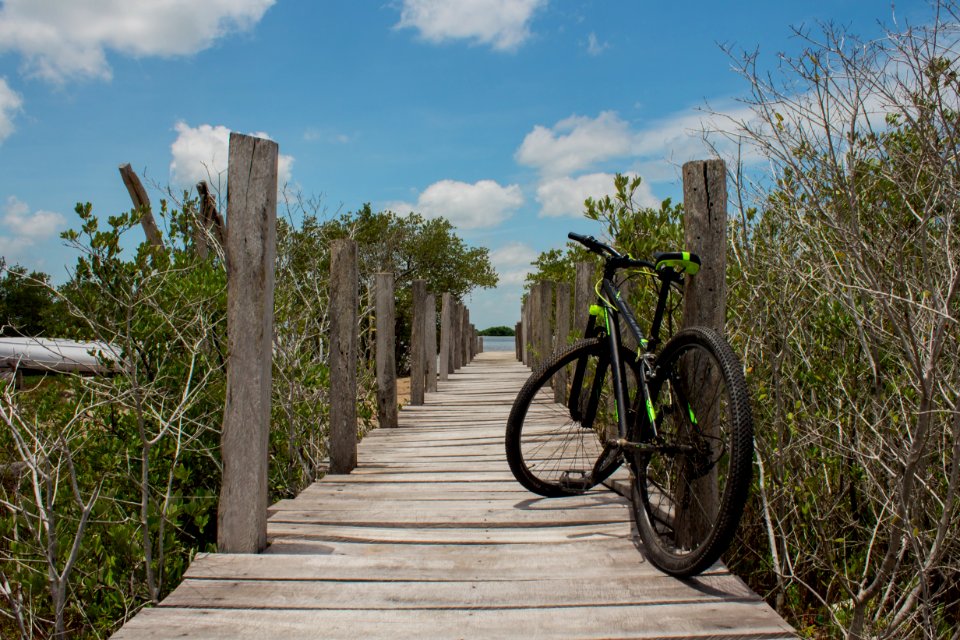Land Vehicle, Bicycle, Road Bicycle, Path