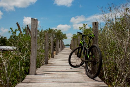 Land Vehicle, Bicycle, Road Bicycle, Path