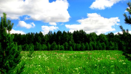 Sky, Vegetation, Grassland, Ecosystem photo